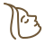 icons8-aesthetics-procedure-50
